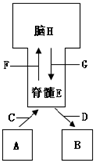 作业帮