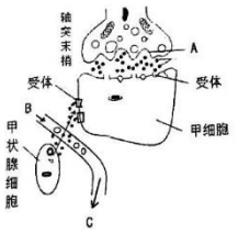 作业帮