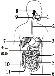 作业帮