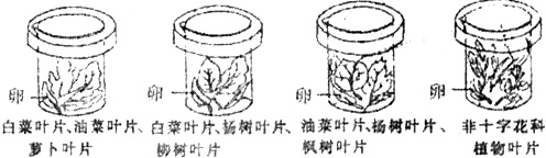 作业帮