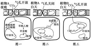 作业帮