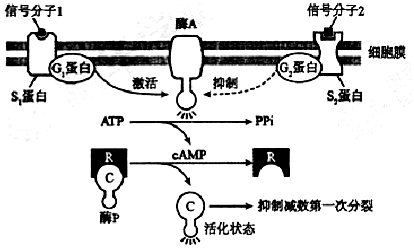 作业帮