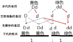 作业帮