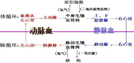 作业帮