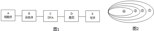 作业帮