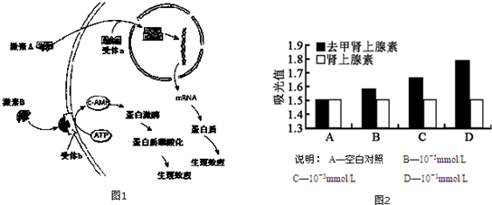 作业帮