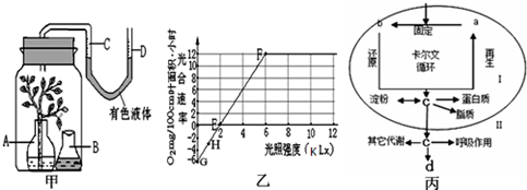 图甲表示实验装置;图乙表示在一定条件下测得的该植物光照强度与光合