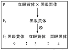 作业帮