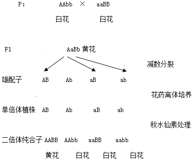 作业帮