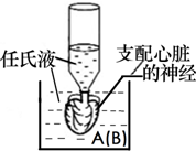 作业帮