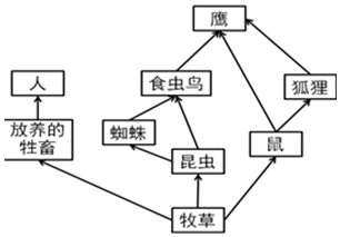 作业帮