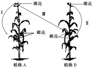 作业帮