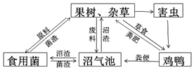 作业帮