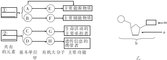 作业帮