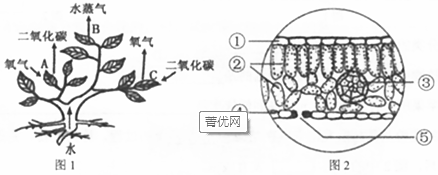 作业帮