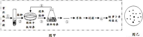 满分5 manfen5.com