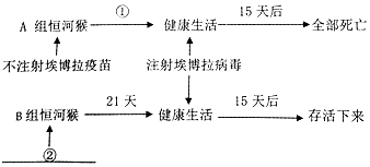 作业帮