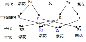 作业帮