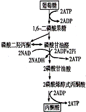 作业帮