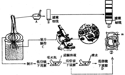 作业帮