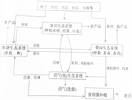 作业帮