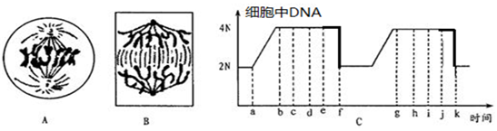 作业帮