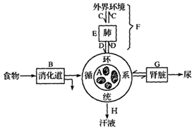 作业帮