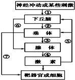 作业帮