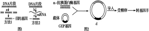 作业帮