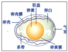 作业帮