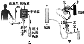 作业帮