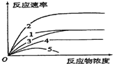 作业帮