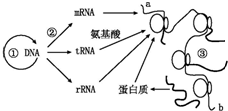 作业帮