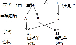 作业帮