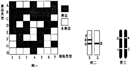 作业帮