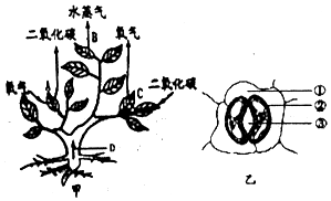 作业帮