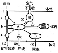 作业帮