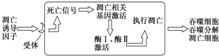 作业帮