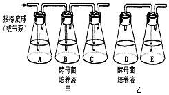 作业帮