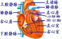 作业帮