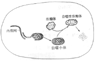 作业帮