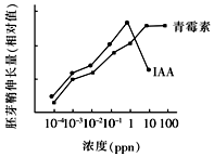 作业帮