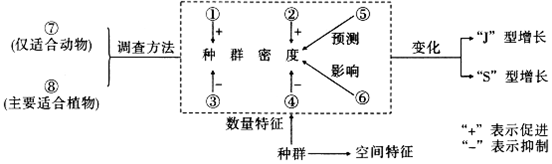 作业帮