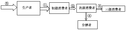 作业帮