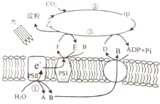 作业帮