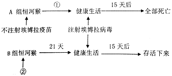 作业帮