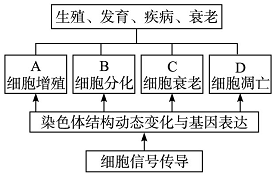 作业帮