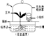 作业帮