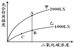 作业帮