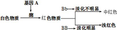 作业帮